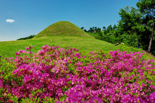 군화 철죽